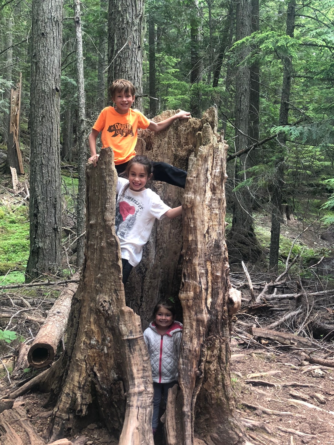 TV5NuazkSQGWlEHfDpYJUg