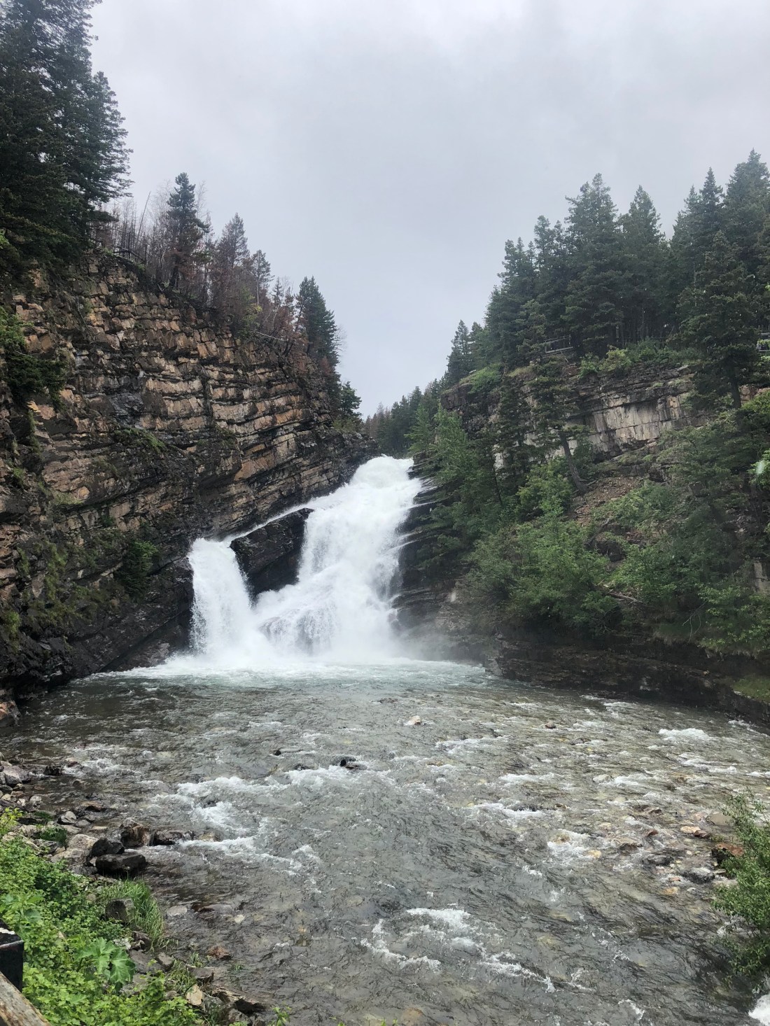 u8plIq3hTtGTFUHRBw9+TA